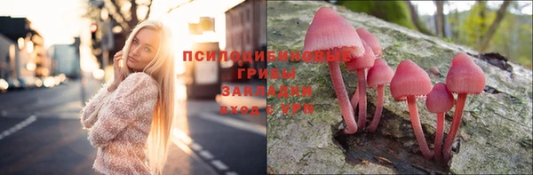 тгк Бородино