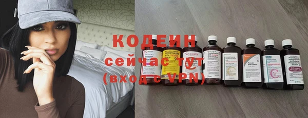 тгк Бородино