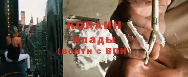тгк Бородино