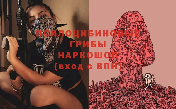 хмурый Бронницы