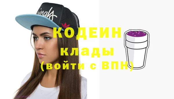 тгк Бородино