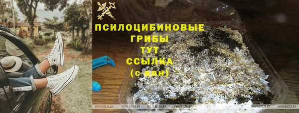 хмурый Бронницы