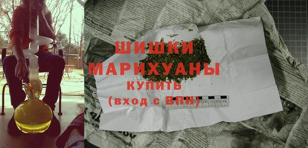 тгк Бородино
