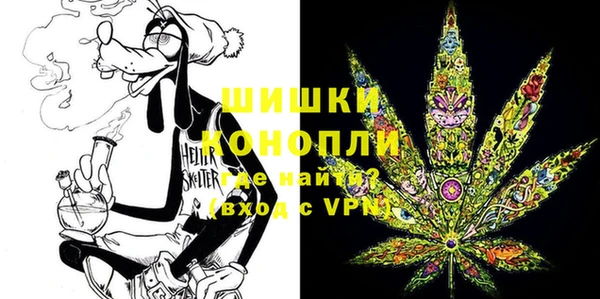 тгк Бородино