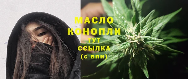 тгк Бородино